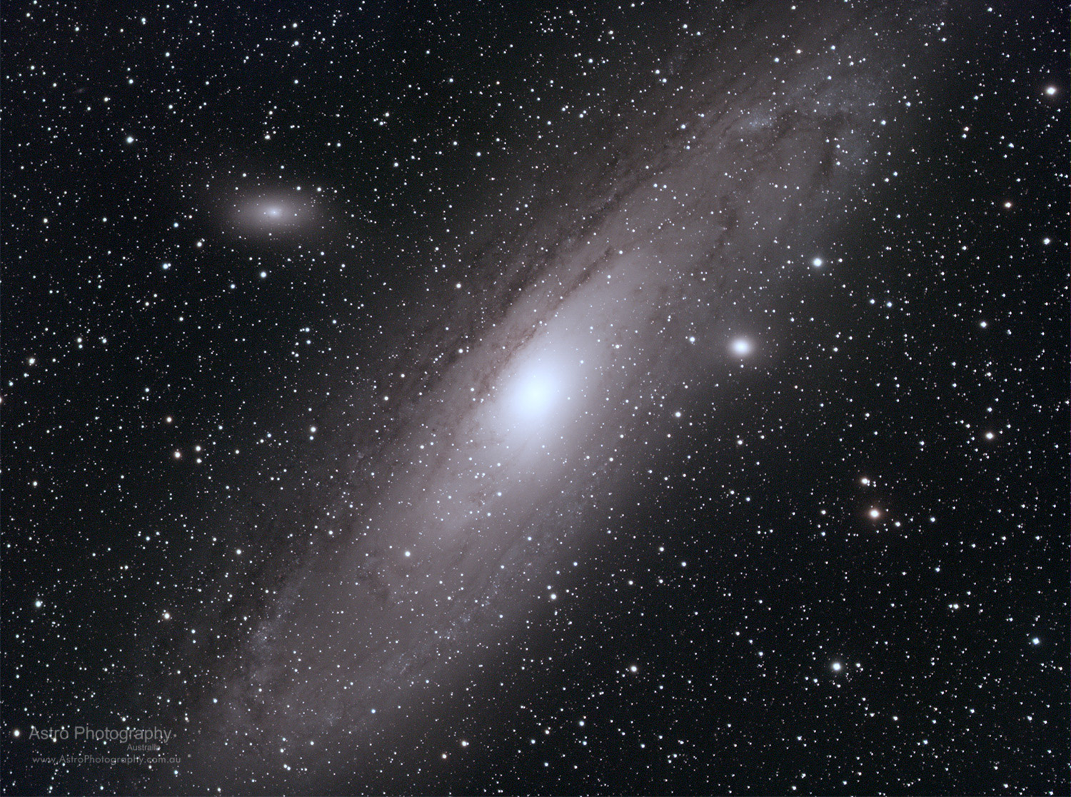 Messier 31 (Andromeda Galaxy)